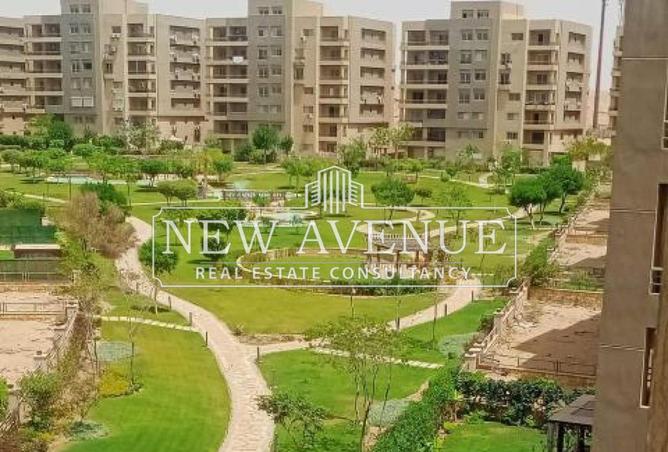 66424914 - صورة العقار 3