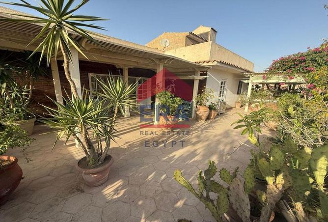 55996858 - Property Image 3