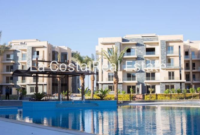 8560291 - Property Image 3