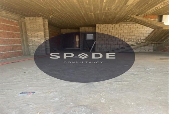 53475696 - صورة العقار 2