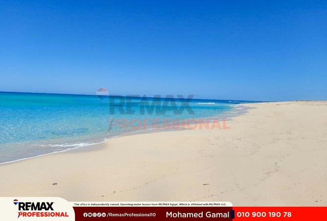 75679292 - Property Image 3