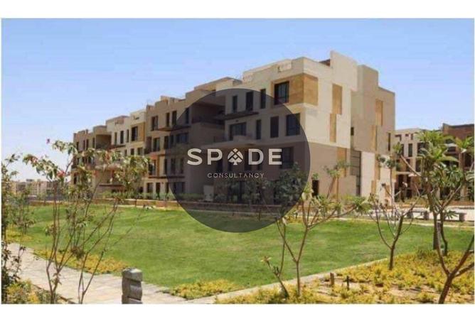 54239967 - Property Main Image