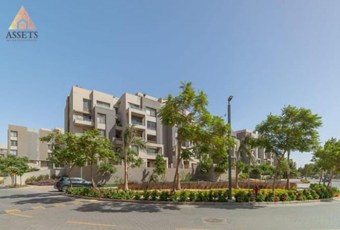 61204457 - Property Image 3