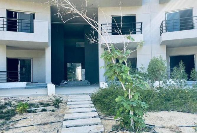 66426437 - صورة العقار 3