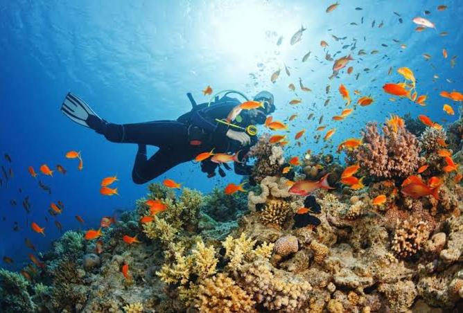 61191494 - صورة العقار 3