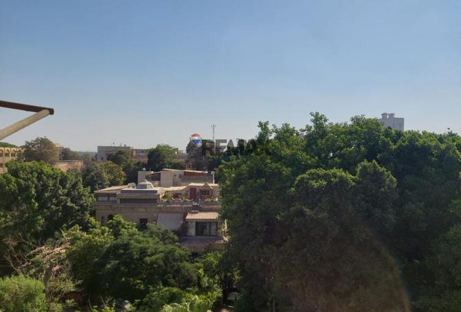 74305838 - صورة العقار 3