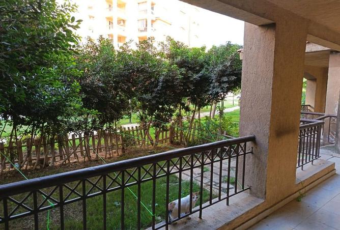 57494010 - صورة العقار 2