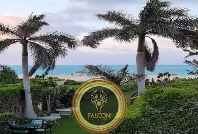 79987321 - صورة العقار 3