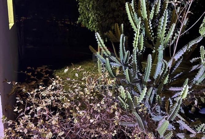 98824623 - Property Image 2