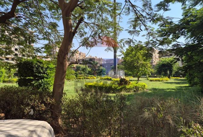 101197269 - صورة العقار 2