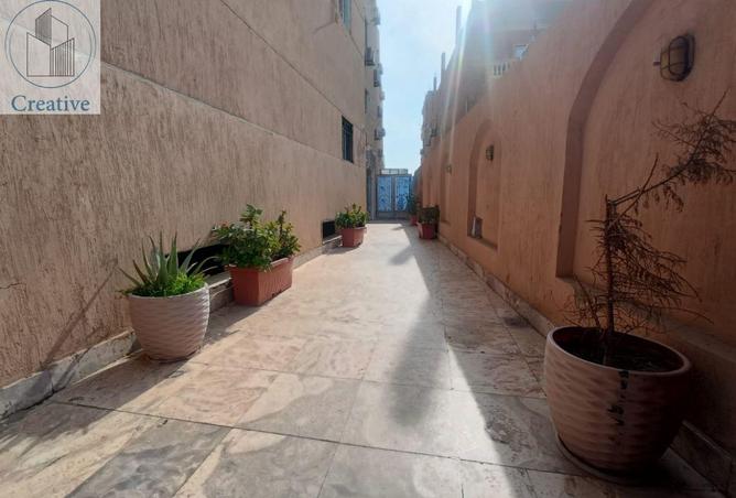 67736027 - Property Image 3