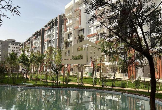 8596687 - Property Image 3