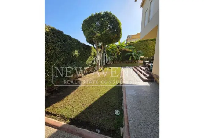 113538273 - Property Image 3