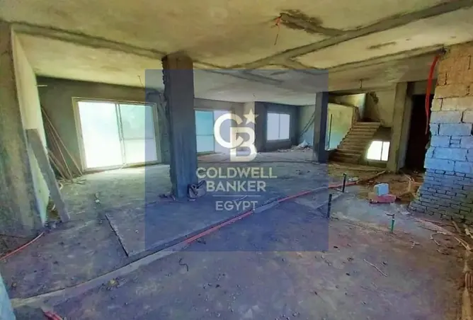 115175169 - Property Image 3