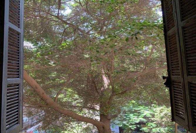 8562277 - Property Image 3