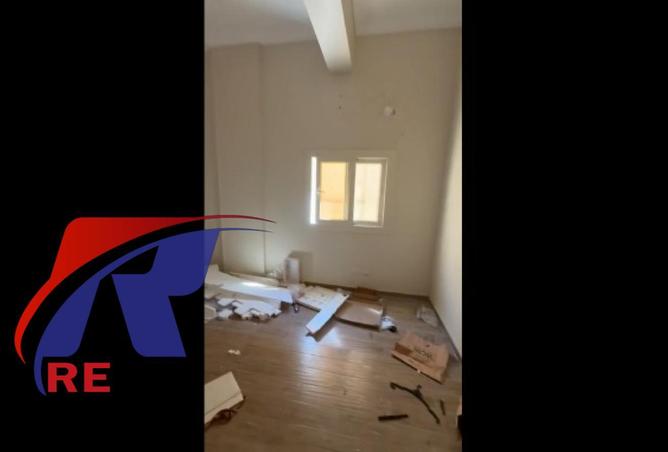 58242856 - Property Image 2