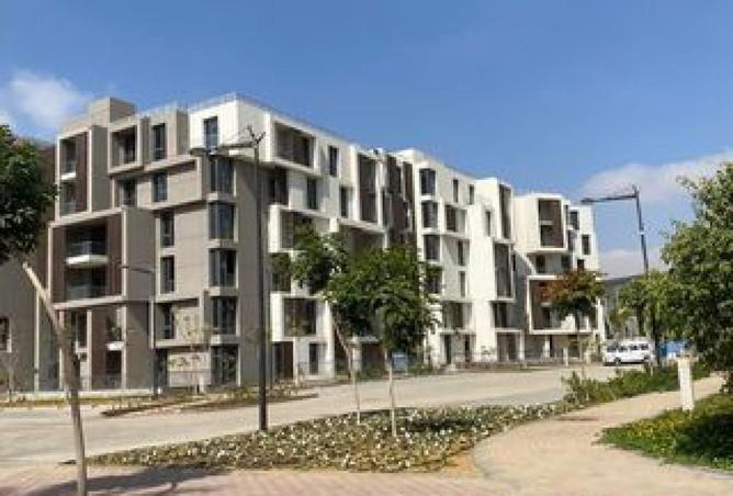 54505853 - Property Image 3