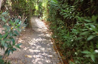 Apartment - 3 - 2 for sale in Al Khamayel city - Sheikh Zayed Compounds - Sheikh Zayed City - Giza
