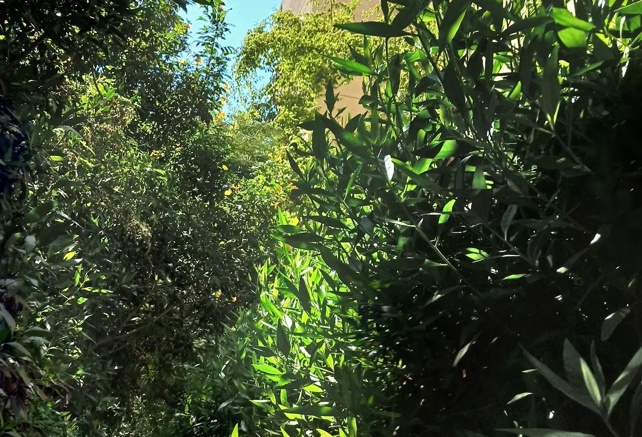 111300363 - Property Main Image
