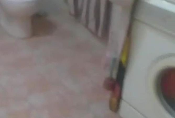 75402145 - Property Image 3