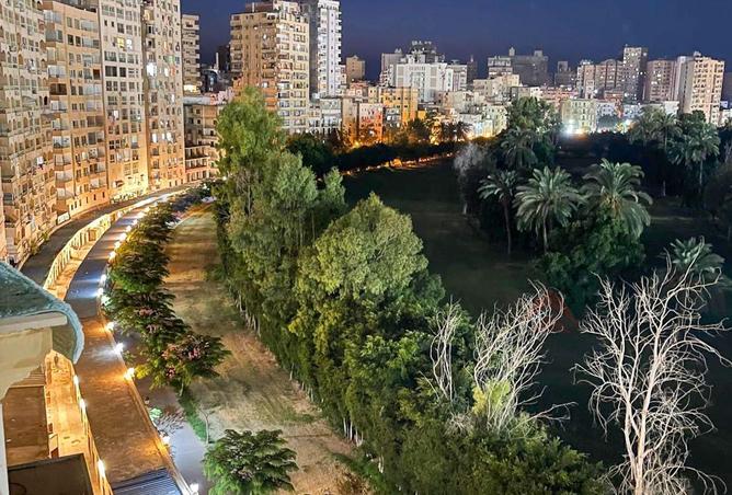 55751901 - صورة العقار 2