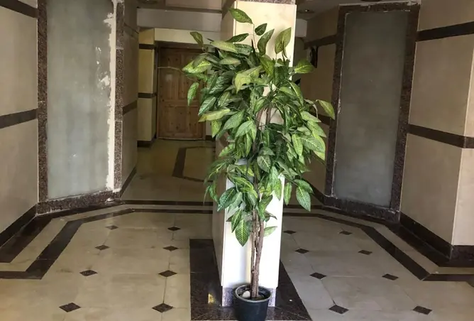 114627851 - صورة العقار 3