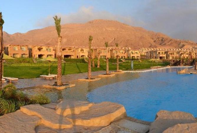 8562049 - صورة العقار 2