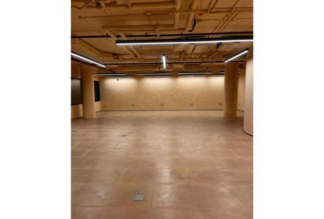 63142201 - Property Image 3