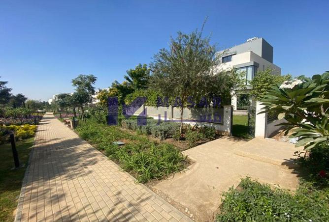 64893333 - Property Image 3