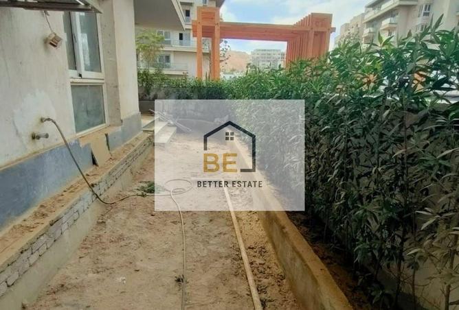 83681007 - Property Image 3