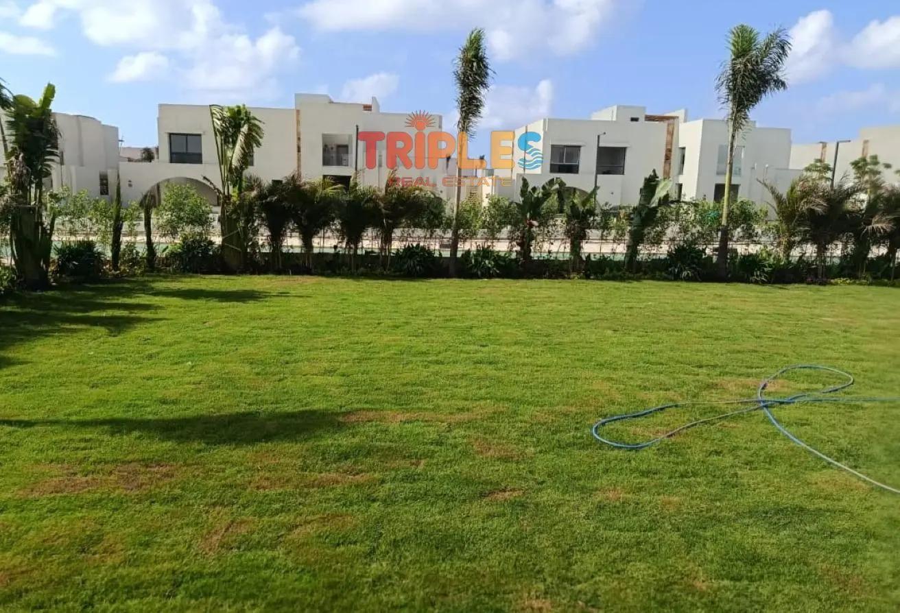 116751967 - Property Main Image