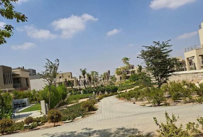 53977951 - صورة العقار 3