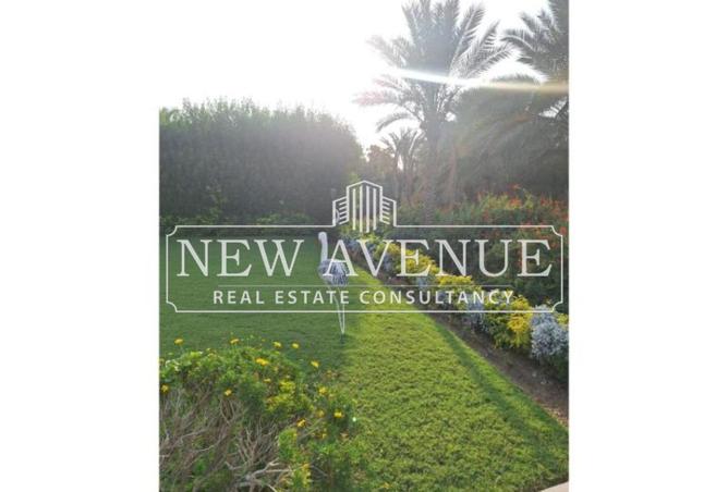 52707077 - Property Image 3