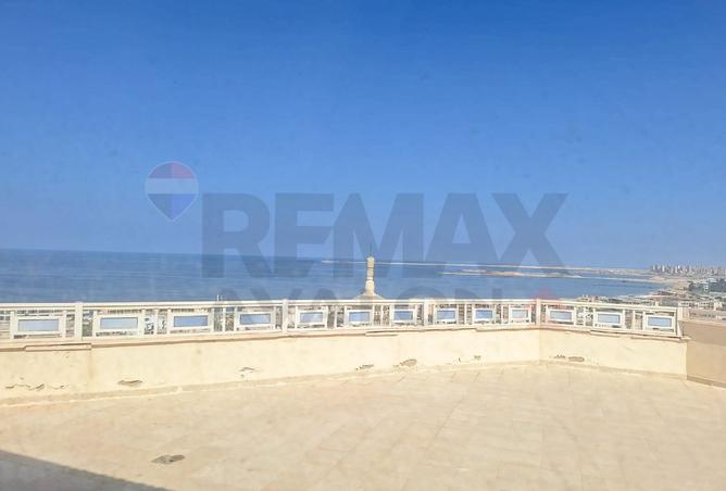 106862084 - Property Image 2