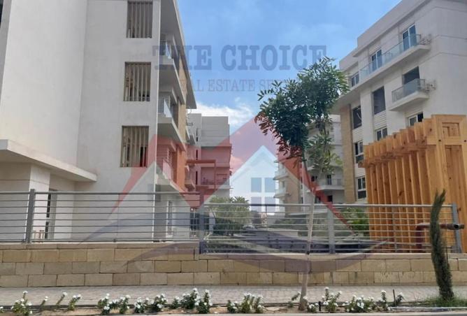 61924443 - Property Image 3