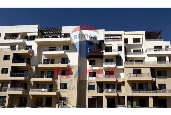 83138866 - Property Image 3