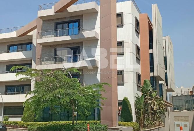 61696050 - Property Image 2