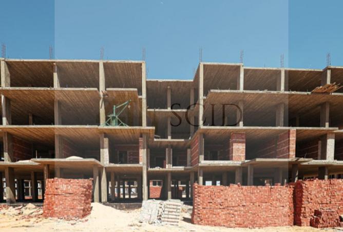 98548077 - صورة العقار 2