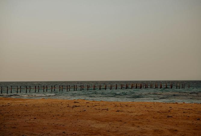 93521842 - صورة العقار 2