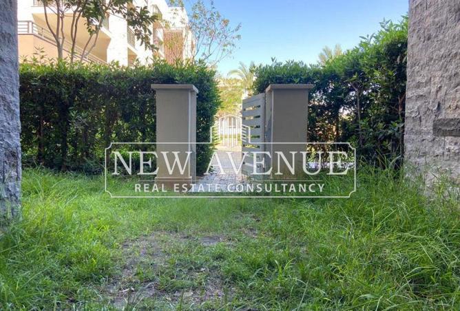 66421210 - Property Image 3