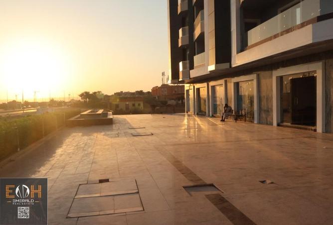 8587921 - Property Image 3