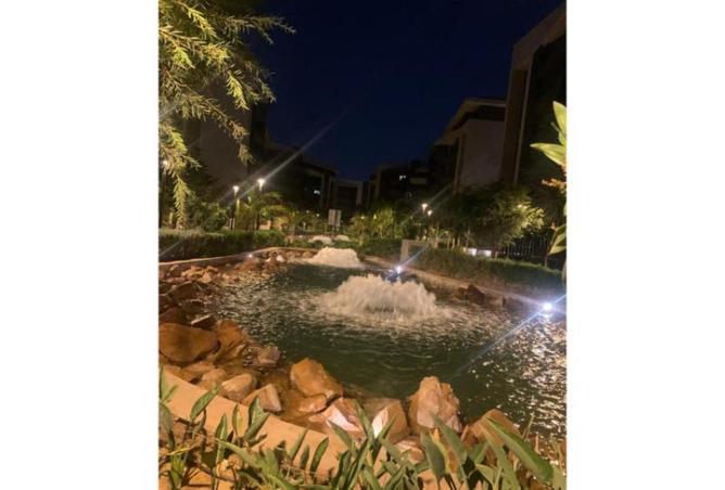 8610480 - Property Image 3