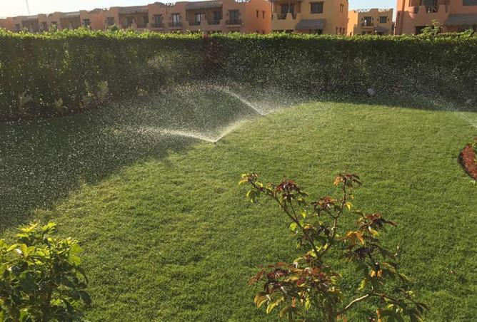 54501401 - صورة العقار 2