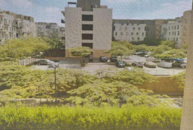 103474784 - Property Image 3