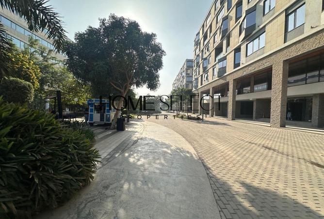 79724247 - Property Image 3