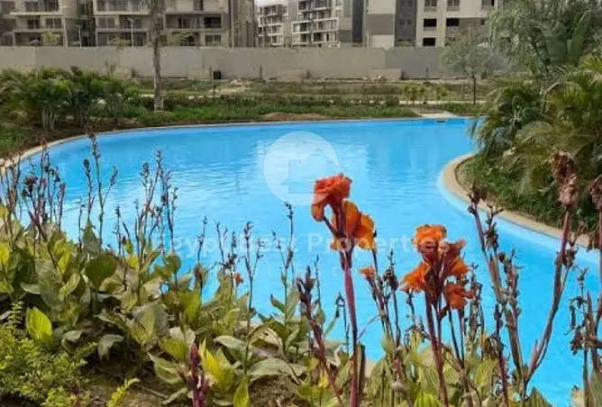 115179841 - صورة العقار 2