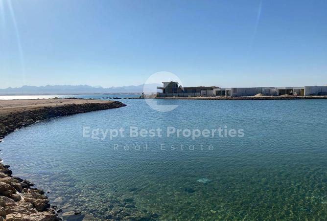 59248178 - صورة العقار 3