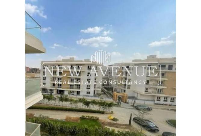 66423917 - Property Image 3