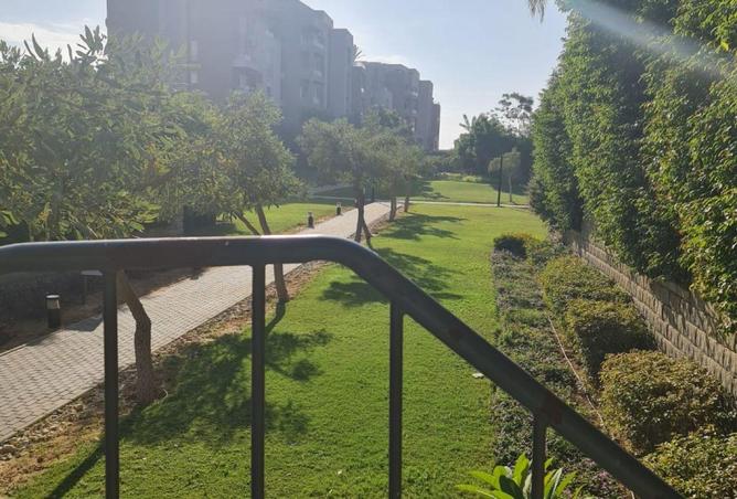 53466606 - Property Image 2