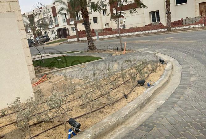 66963767 - Property Image 3